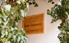 Dal Carniel